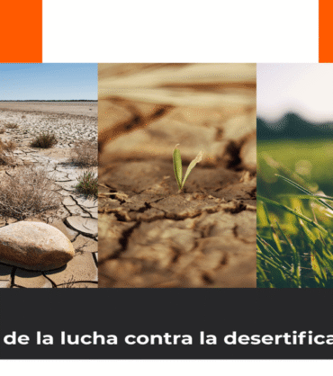 dia_lucha_desertificacion_optimizada_1200x675